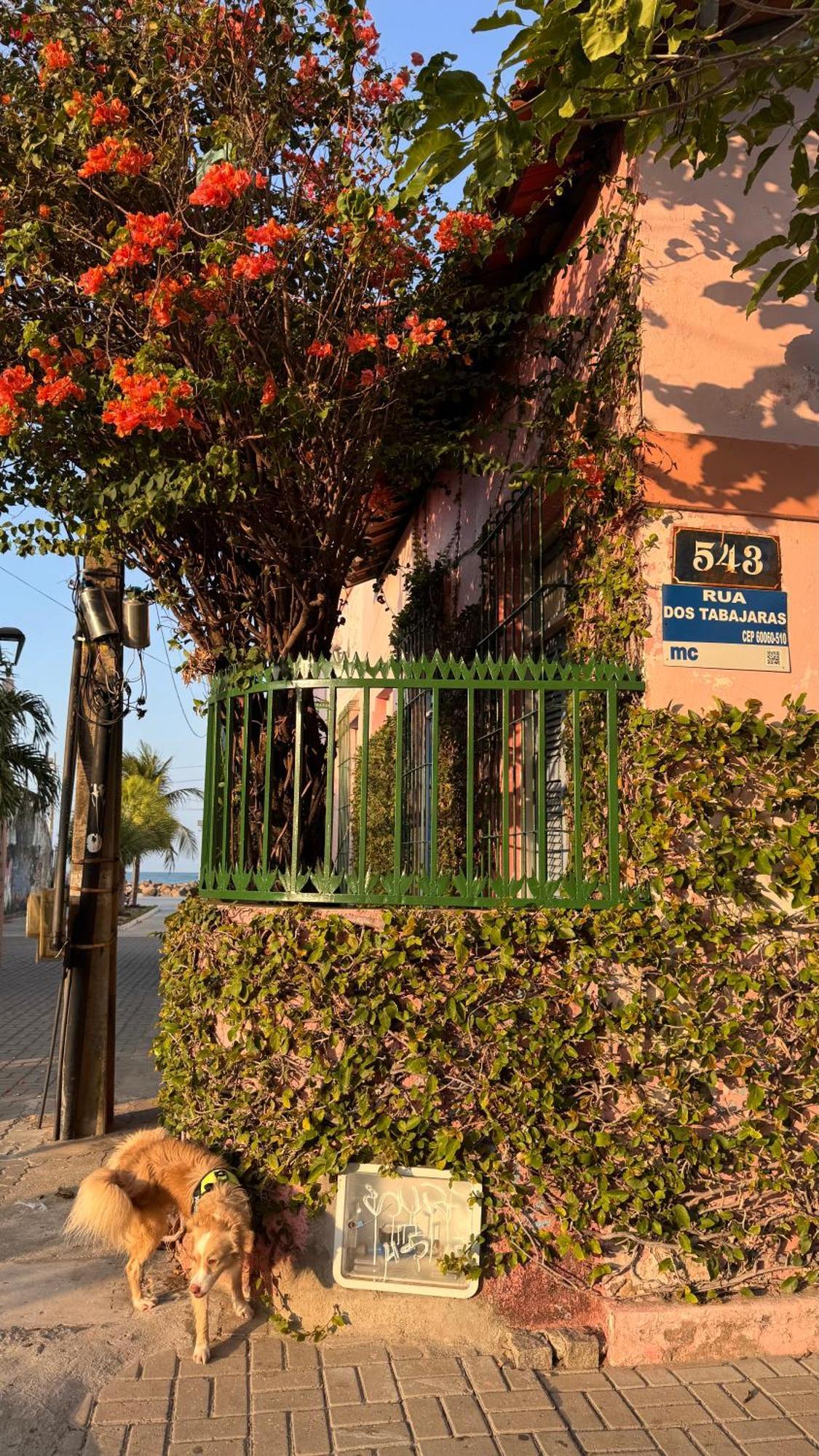 Jardim Iracema Apartment Fortaleza  Exterior foto
